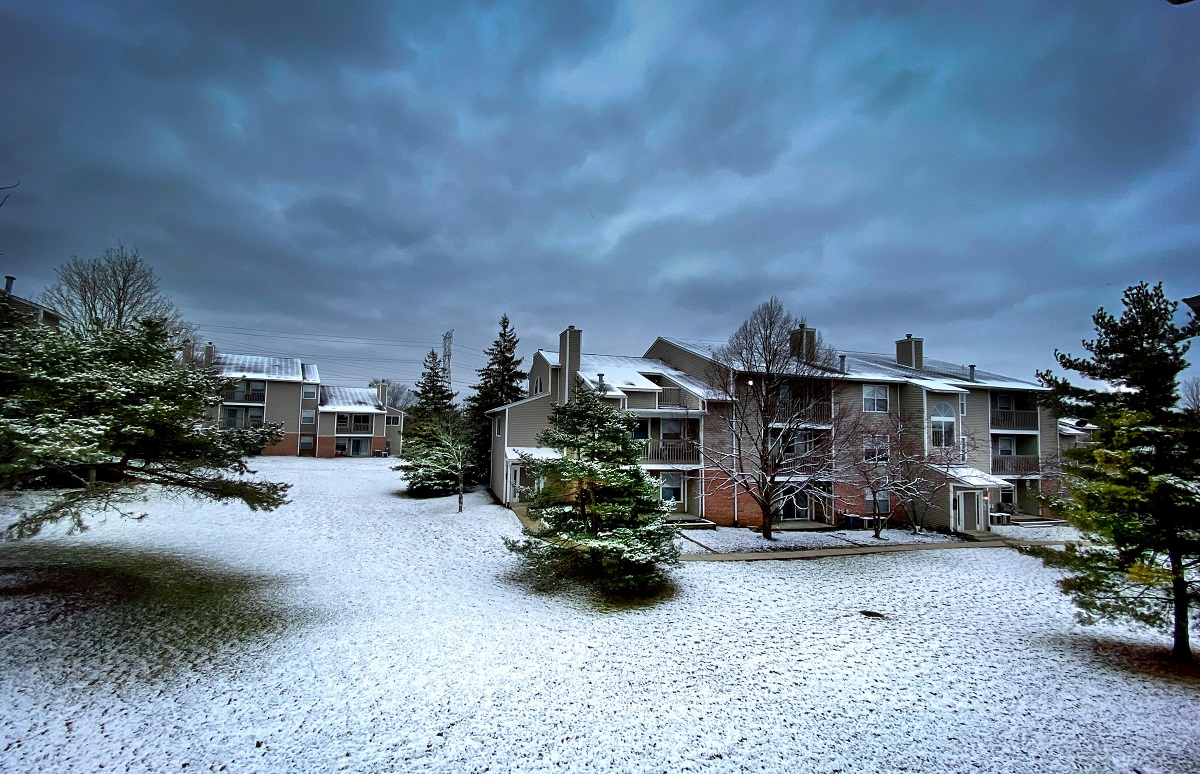 yard covered in snow